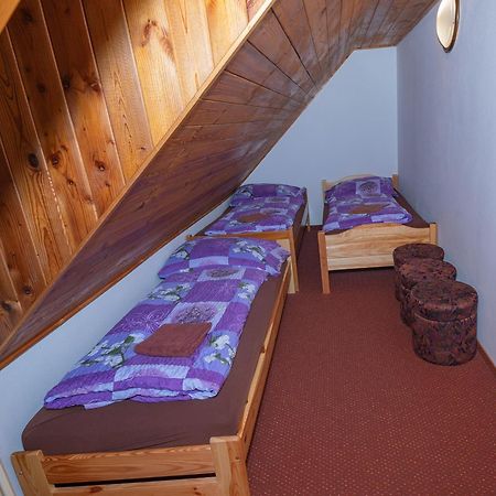 Penzion Harry Na Sjezdovce Krkonose Vysoké nad Jizerou Buitenkant foto