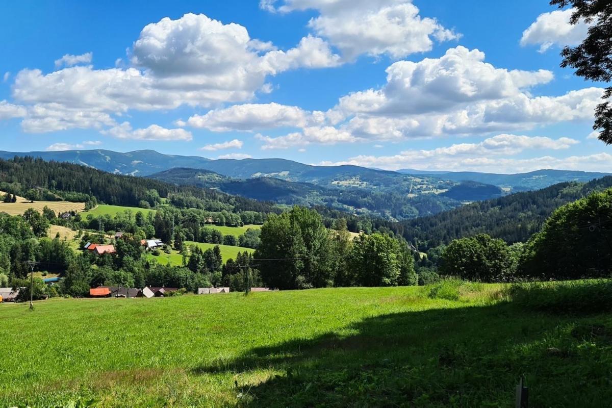 Penzion Harry Na Sjezdovce Krkonose Vysoké nad Jizerou Buitenkant foto
