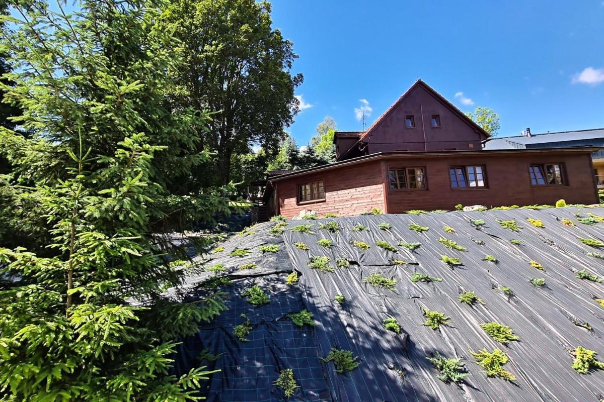 Penzion Harry Na Sjezdovce Krkonose Vysoké nad Jizerou Buitenkant foto