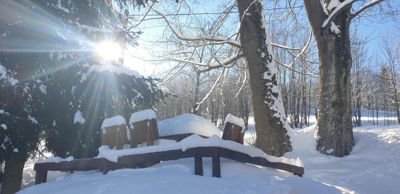 Penzion Harry Na Sjezdovce Krkonose Vysoké nad Jizerou Buitenkant foto